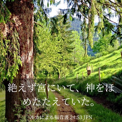 Picture 03 - ルカによる福音書 24:53 JPN - 絶えず宮にいて、神をほめたたえて - Bible Verse Picture