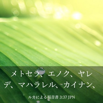Picture 03 - ルカによる福音書 3:37 JPN - メトセラ、エノク、ヤレデ、マハラ - Bible Verse Picture