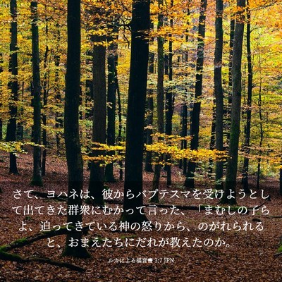 Picture 03 - ルカによる福音書 3:7 JPN - さて、ヨハネは、彼からバプテスマ - Bible Verse Picture