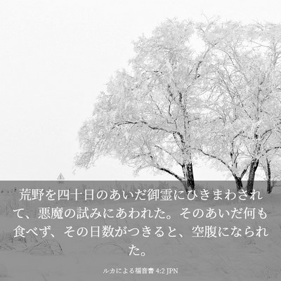 Picture 03 - ルカによる福音書 4:2 JPN - 荒野を四十日のあいだ御霊にひきま - Bible Verse Picture