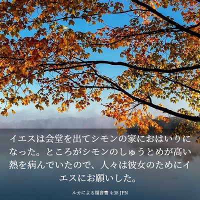 Picture 03 - ルカによる福音書 4:38 JPN - イエスは会堂を出てシモンの家にお - Bible Verse Picture