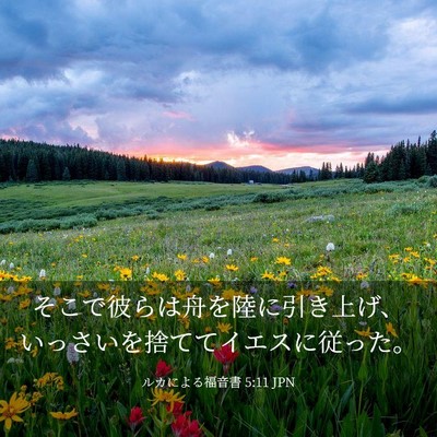 Picture 03 - ルカによる福音書 5:11 JPN - そこで彼らは舟を陸に引き上げ、い - Bible Verse Picture