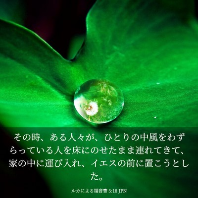 Picture 03 - ルカによる福音書 5:18 JPN - その時、ある人々が、ひとりの中風 - Bible Verse Picture