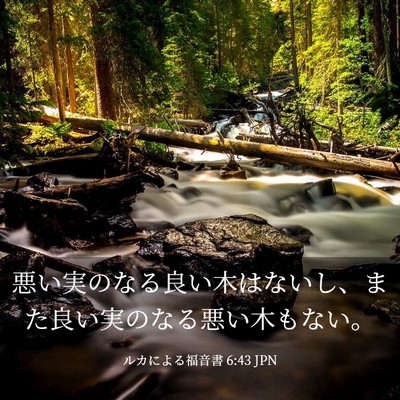 Picture 03 - ルカによる福音書 6:43 JPN - 悪い実のなる良い木はないし、また - Bible Verse Picture