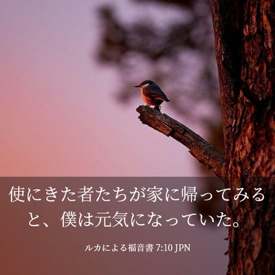 Picture 03 - ルカによる福音書 7:10 JPN - 使にきた者たちが家に帰ってみると - Bible Verse Picture