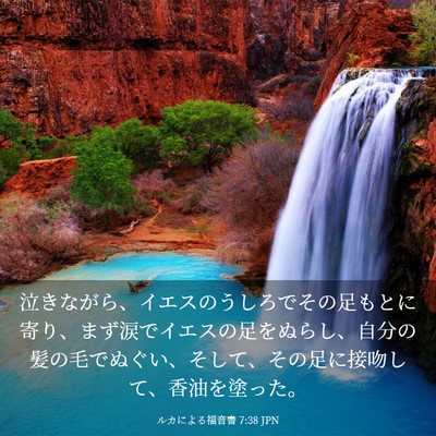Picture 03 - ルカによる福音書 7:38 JPN - 泣きながら、イエスのうしろでその - Bible Verse Picture