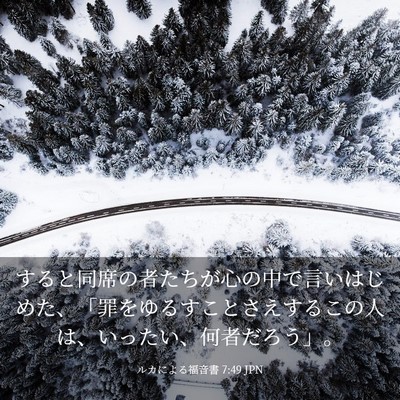 Picture 03 - ルカによる福音書 7:49 JPN - すると同席の者たちが心の中で言い - Bible Verse Picture