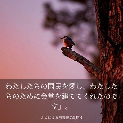 Picture 03 - ルカによる福音書 7:5 JPN - わたしたちの国民を愛し、わたした - Bible Verse Picture
