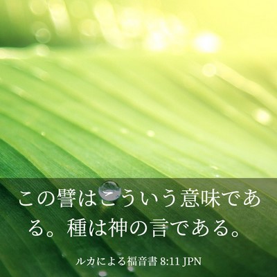 Picture 03 - ルカによる福音書 8:11 JPN - この譬はこういう意味である。種は - Bible Verse Picture