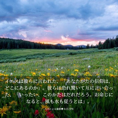 Picture 03 - ルカによる福音書 8:25 JPN - イエスは彼らに言われた、「あなた - Bible Verse Picture