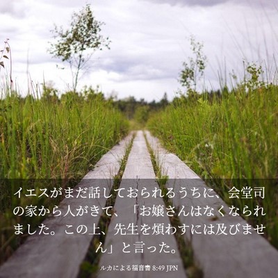 Picture 03 - ルカによる福音書 8:49 JPN - イエスがまだ話しておられるうちに - Bible Verse Picture