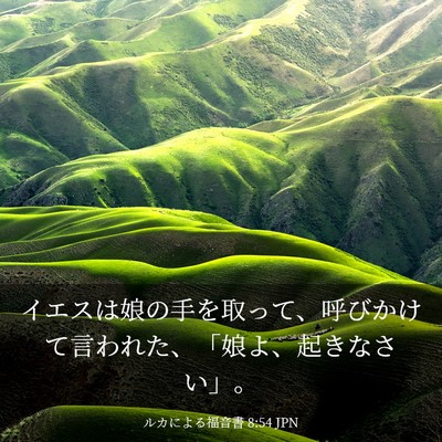 Picture 03 - ルカによる福音書 8:54 JPN - イエスは娘の手を取って、呼びかけ - Bible Verse Picture