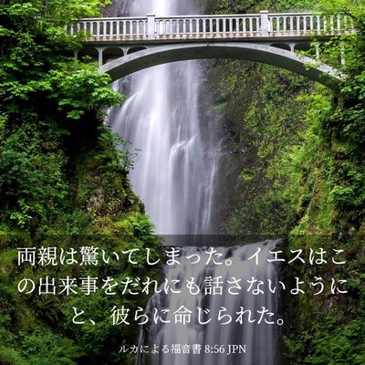 Picture 03 - ルカによる福音書 8:56 JPN - 両親は驚いてしまった。イエスはこ - Bible Verse Picture