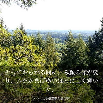 Picture 03 - ルカによる福音書 9:29 JPN - 祈っておられる間に、み顔の様が変 - Bible Verse Picture