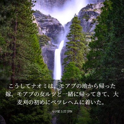 Picture 03 - ルツ記 1:22 JPN - こうしてナオミは、モアブの地から - Bible Verse Picture