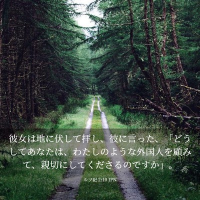 Picture 03 - ルツ記 2:10 JPN - 彼女は地に伏して拝し、彼に言った - Bible Verse Picture