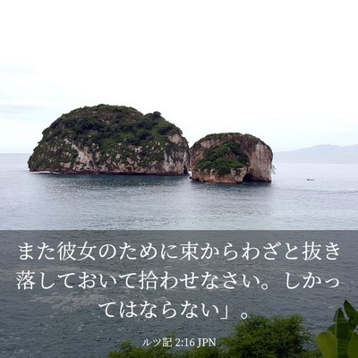 Picture 03 - ルツ記 2:16 JPN - また彼女のために束からわざと抜き - Bible Verse Picture