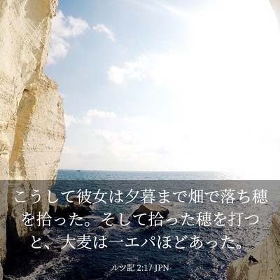 Picture 03 - ルツ記 2:17 JPN - こうして彼女は夕暮まで畑で落ち穂 - Bible Verse Picture
