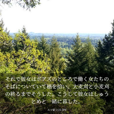 Picture 03 - ルツ記 2:23 JPN - それで彼女はボアズのところで働く - Bible Verse Picture
