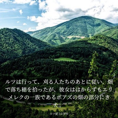 Picture 03 - ルツ記 2:3 JPN - ルツは行って、刈る人たちのあとに - Bible Verse Picture