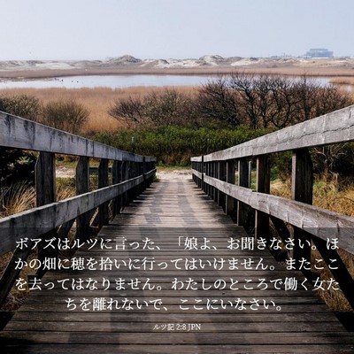 Picture 03 - ルツ記 2:8 JPN - ボアズはルツに言った、「娘よ、お - Bible Verse Picture
