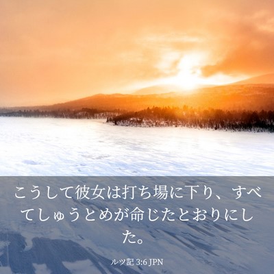 Picture 03 - ルツ記 3:6 JPN - こうして彼女は打ち場に下り、すべ - Bible Verse Picture