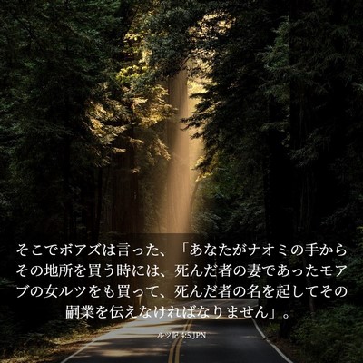 Picture 03 - ルツ記 4:5 JPN - そこでボアズは言った、「あなたが - Bible Verse Picture