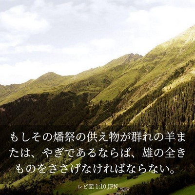 Picture 03 - レビ記 1:10 JPN - もしその燔祭の供え物が群れの羊ま - Bible Verse Picture