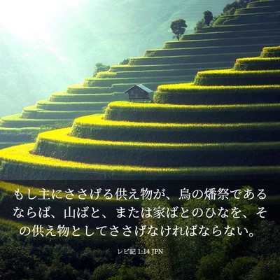 Picture 03 - レビ記 1:14 JPN - もし主にささげる供え物が、鳥の燔 - Bible Verse Picture