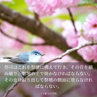 Picture 03 - レビ記 1:15 JPN - 祭司はこれを祭壇に携えて行き、そ - Bible Verse Picture