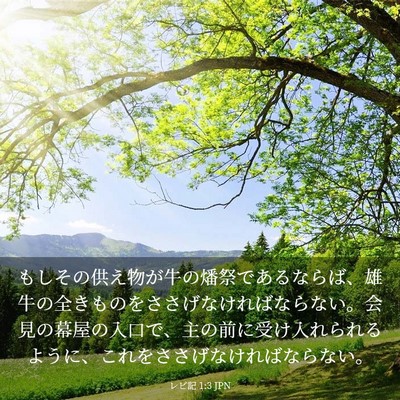 Picture 03 - レビ記 1:3 JPN - もしその供え物が牛の燔祭であるな - Bible Verse Picture
