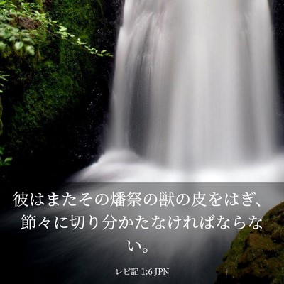 Picture 03 - レビ記 1:6 JPN - 彼はまたその燔祭の獣の皮をはぎ、 - Bible Verse Picture