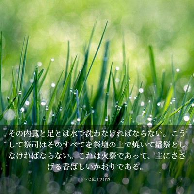 Picture 03 - レビ記 1:9 JPN - その内臓と足とは水で洗わなければ - Bible Verse Picture