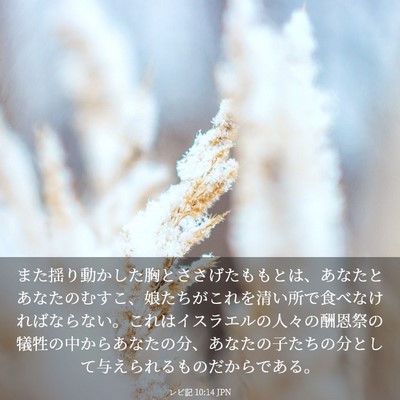 Picture 03 - レビ記 10:14 JPN - また揺り動かした胸とささげたもも - Bible Verse Picture