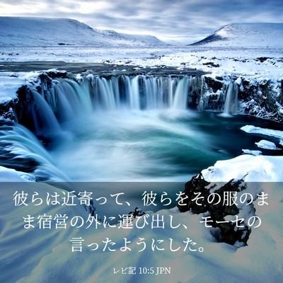 Picture 03 - レビ記 10:5 JPN - 彼らは近寄って、彼らをその服のま - Bible Verse Picture