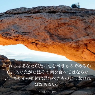 Picture 03 - レビ記 11:11 JPN - これらはあなたがたに忌むべきもの - Bible Verse Picture