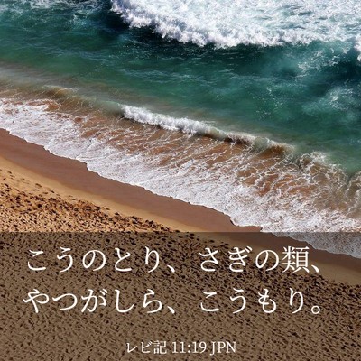 Picture 03 - レビ記 11:19 JPN - こうのとり、さぎの類、やつがしら - Bible Verse Picture