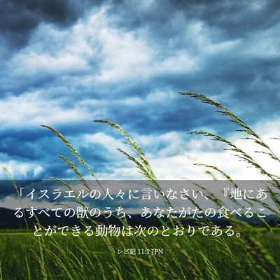 Picture 03 - レビ記 11:2 JPN - 「イスラエルの人々に言いなさい、 - Bible Verse Picture