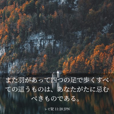 Picture 03 - レビ記 11:20 JPN - また羽があって四つの足で歩くすべ - Bible Verse Picture