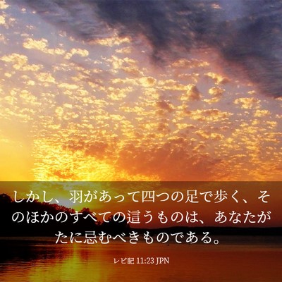 Picture 03 - レビ記 11:23 JPN - しかし、羽があって四つの足で歩く - Bible Verse Picture