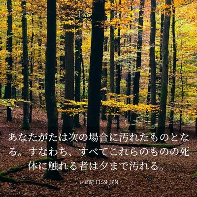Picture 03 - レビ記 11:24 JPN - あなたがたは次の場合に汚れたもの - Bible Verse Picture