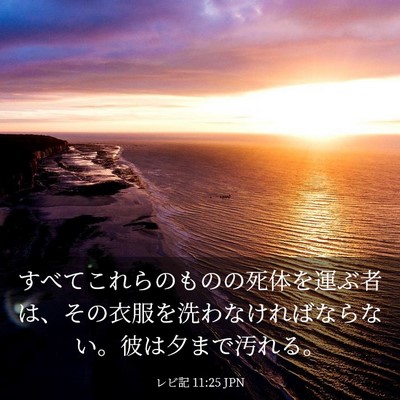 Picture 03 - レビ記 11:25 JPN - すべてこれらのものの死体を運ぶ者 - Bible Verse Picture
