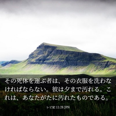 Picture 03 - レビ記 11:28 JPN - その死体を運ぶ者は、その衣服を洗 - Bible Verse Picture