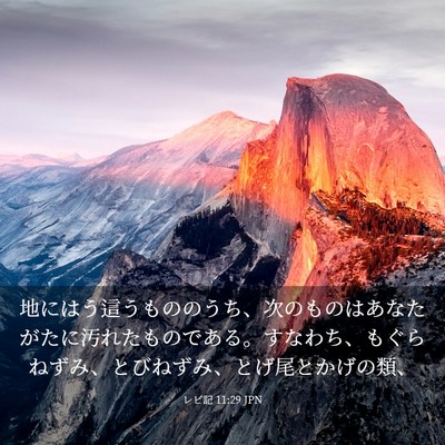 Picture 03 - レビ記 11:29 JPN - 地にはう這うもののうち、次のもの - Bible Verse Picture