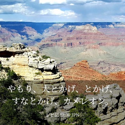 Picture 03 - レビ記 11:30 JPN - やもり、大とかげ、とかげ、すなと - Bible Verse Picture
