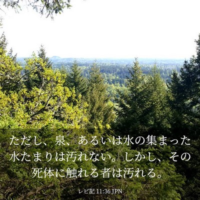 Picture 03 - レビ記 11:36 JPN - ただし、泉、あるいは水の集まった - Bible Verse Picture