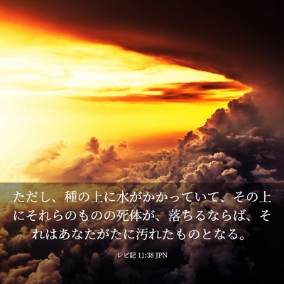 Picture 03 - レビ記 11:38 JPN - ただし、種の上に水がかかっていて - Bible Verse Picture