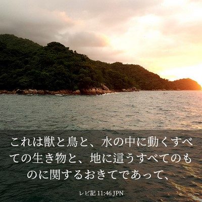 Picture 03 - レビ記 11:46 JPN - これは獣と鳥と、水の中に動くすべ - Bible Verse Picture
