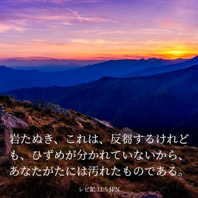 Picture 03 - レビ記 11:5 JPN - 岩たぬき、これは、反芻するけれど - Bible Verse Picture