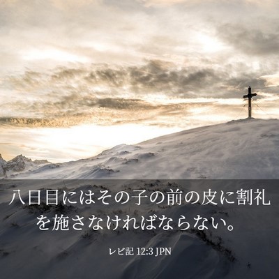 Picture 03 - レビ記 12:3 JPN - 八日目にはその子の前の皮に割礼を - Bible Verse Picture